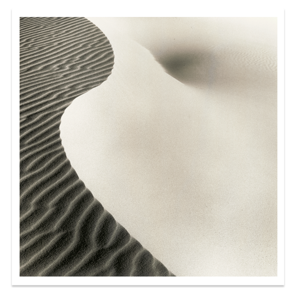 Dune photograph by Tim Hall