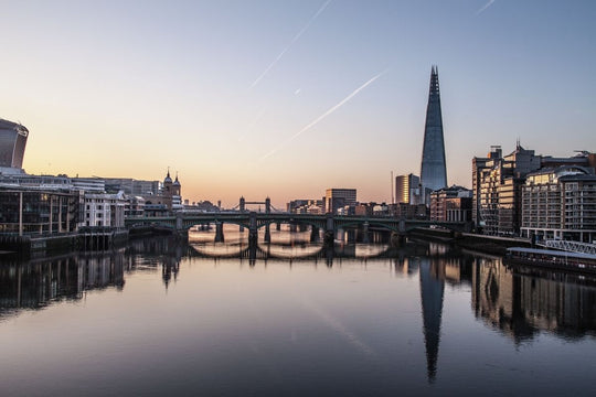 338606