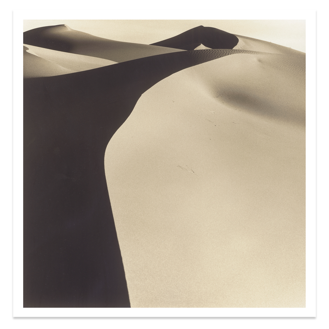 Dune photograph/ Sahara by Tim Hall