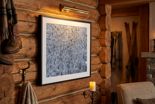 Snow Forest